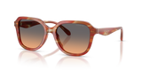 Striated Chestnut / Smokey Peach Gradient (590018)