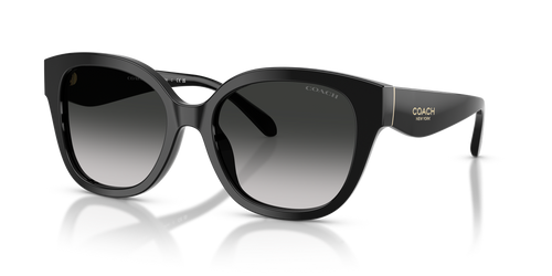 Black / Grey Gradient (500287)
