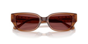 Transparent Brown / Wine Solid (581175)