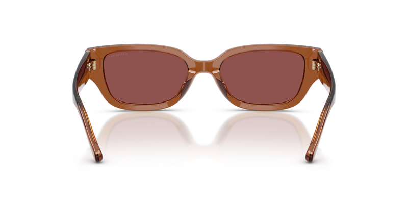 Coach CBZ52 in Transparent Brown / Wine Solid (581175) - Alternate View