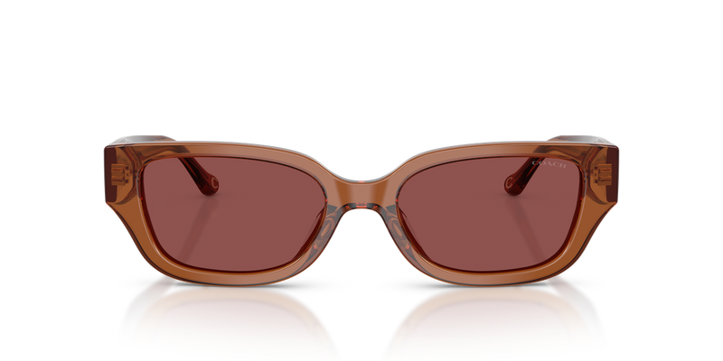 Coach CBZ52 in Transparent Brown / Wine Solid (581175) - Alternate View