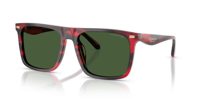 Coach CBY95 in Striated Cherry Oak / Green Solid (590871) - Alternate View