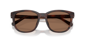 Matte Dark Tortoise / Brown Solid (512073)