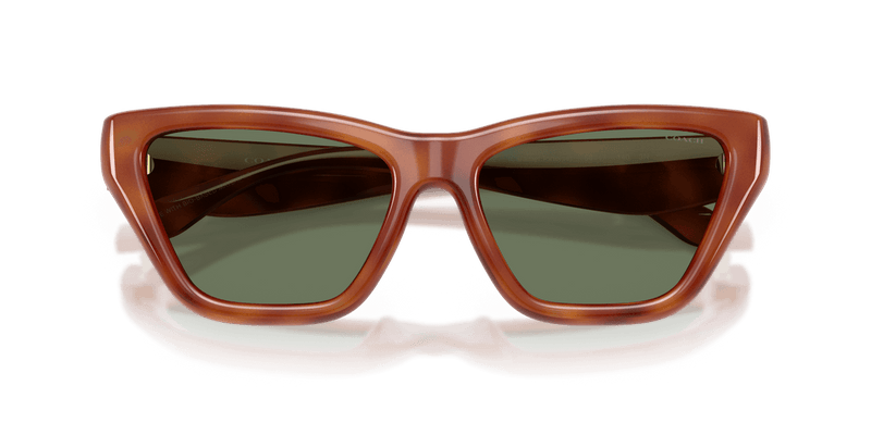 Coach CDP33 in Caramel Tortoise / Green Solid (577482) - Alternate View