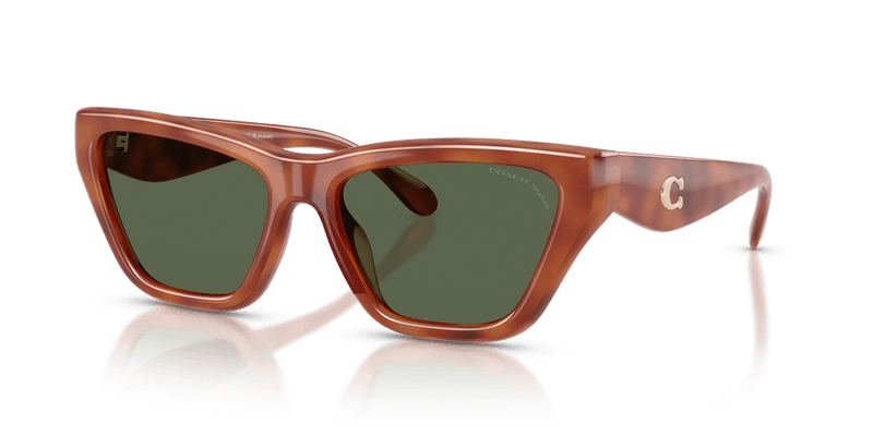 Coach CDP33 in Caramel Tortoise / Green Solid Polarized (57749A) - Alternate View