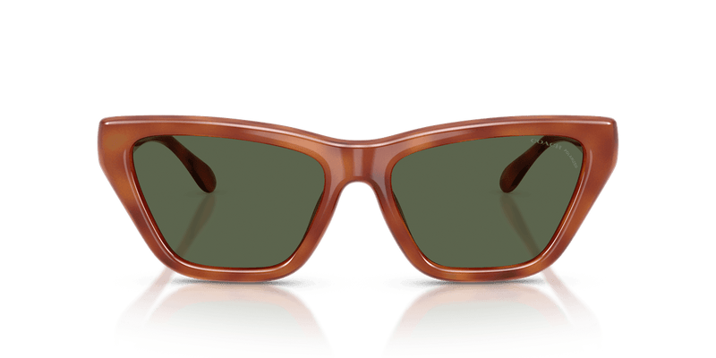 Coach CDP33 in Caramel Tortoise / Green Solid Polarized (57749A) - Alternate View