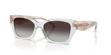Transparent Grey / Grey Gradient (59358G)