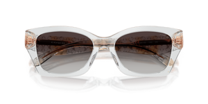 Transparent Grey / Grey Gradient (59358G)