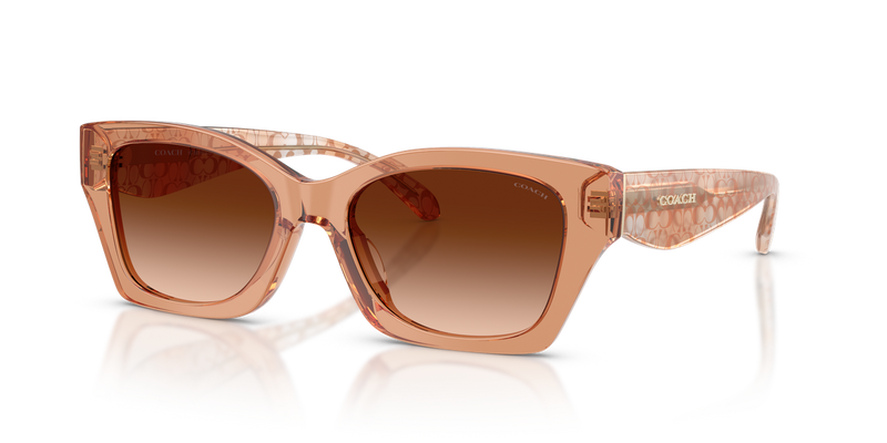 Coach CDP49 in Transparent Brown / Brown Gradient (593774) - Alternate View