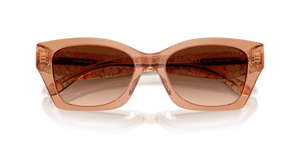 Transparent Brown / Brown Gradient (593774)