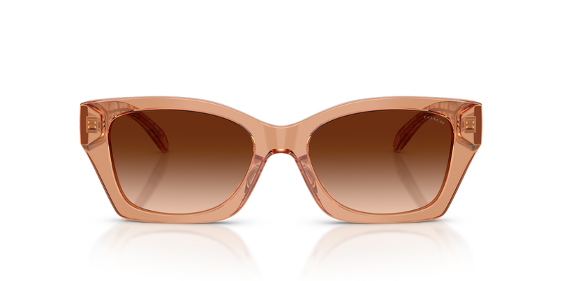 Coach CDP49 in Transparent Brown / Brown Gradient (593774) - Alternate View