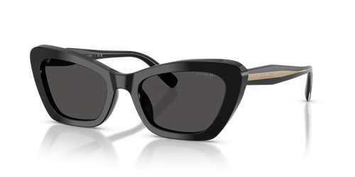 Black / Grey Solid (500287)