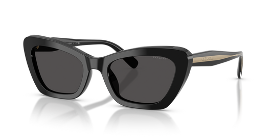 Coach CDP52 - Black / Grey Solid (500287)