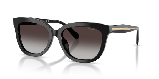 Coach CDP53 - Black / Grey Gradient (50028G)