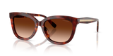 Walnut Tortoise / Brown Gradient (593874)