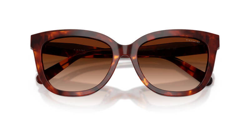 Coach CDP53 in Walnut Tortoise / Brown Gradient (593874) - Alternate View