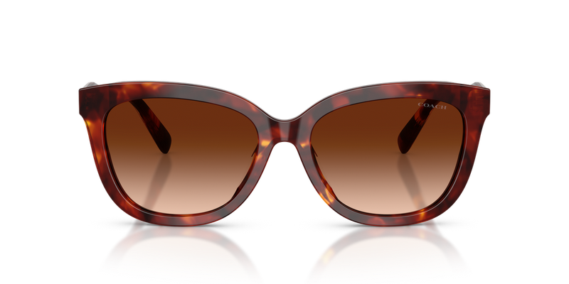 Coach CDP53 in Walnut Tortoise / Brown Gradient (593874) - Alternate View
