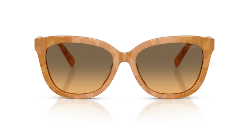 Coach CDP53 in Blonde Tortoise / Olive (593911) - Alternate View