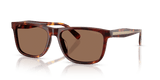 Walnut Tortoise / Brown Solid (593813)