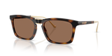Dark Tortoise / Brown Solid (512013)