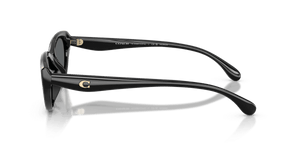 Black / Grey Solid Polarized (500281)