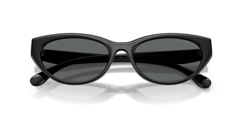 Coach CDP42 in Black / Grey Solid Polarized (500281) - Alternate View