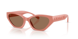 Coral / Brown Solid (595573)