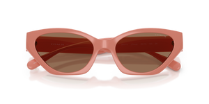 Coral / Brown Solid (595573)