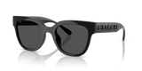 Black / Grey Solid (500287)