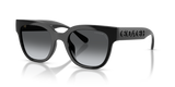 Black / Grey Gradient Polarized (5002T3)