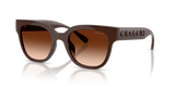 Pecan / Brown Gradient (595774)