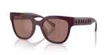Purple / Purple Flash (59596G)