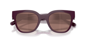 Purple / Purple Flash (59596G)