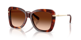 Walnut Tortoise / Brown Gradient (593874)