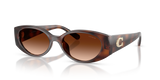 Dark Tortoise / Brown Gradient (512074)