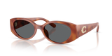 Caramel Tortoise / Grey Solid Polarized (577481)