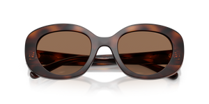 Dark Tortoise / Brown Solid (512073)