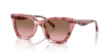 Rose Watercolor / Brown Pink Gradient (596414)