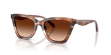Pecan Watercolor / Brown Gradient (596574)