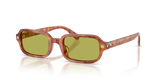 Caramel Tortoise / Pistachio (5774/2)