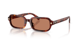Walnut Tortoise / Light Brown Solid (593873)
