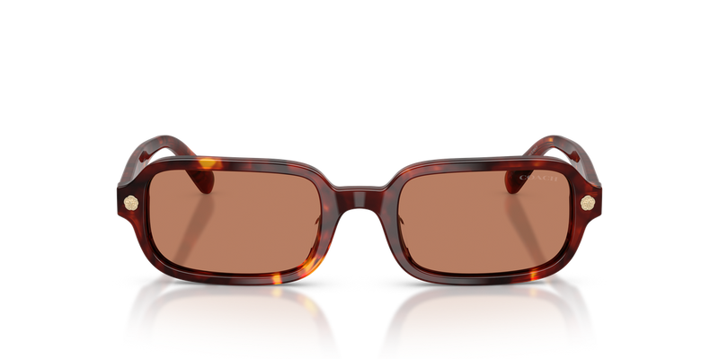 Coach CFU11 in Walnut Tortoise - Alternate View