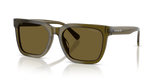 Transparent Olive / Olive Solid (591073)