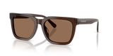 Transparent Brown / Brown Solid (597373)