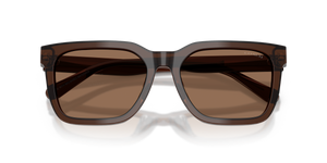 Transparent Brown / Brown Solid (597373)