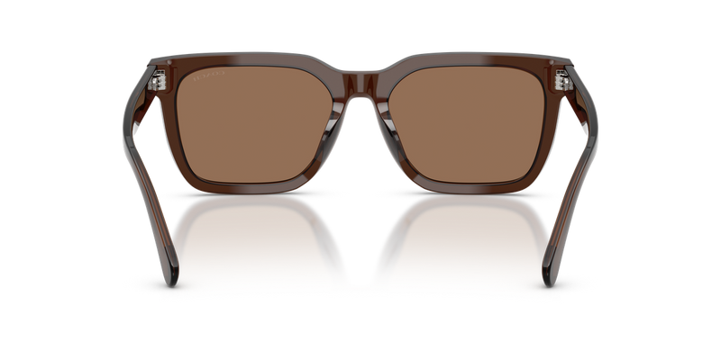 Coach CFU12 in Transparent Brown - Alternate View