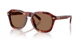 Walnut Tortoise / Brown Solid (593873)