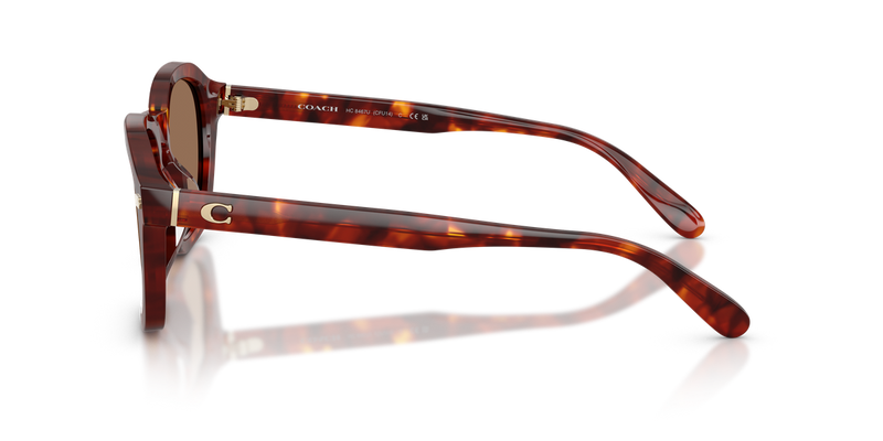 Coach CFU14 in Walnut Tortoise - Alternate View