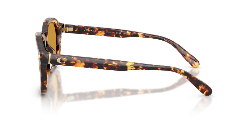 Coach CFU14 in Tortoise Mustard - Back View