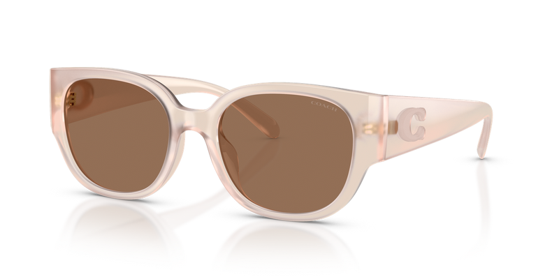 Coach CFU17 in Smoke Rose - Alternate View